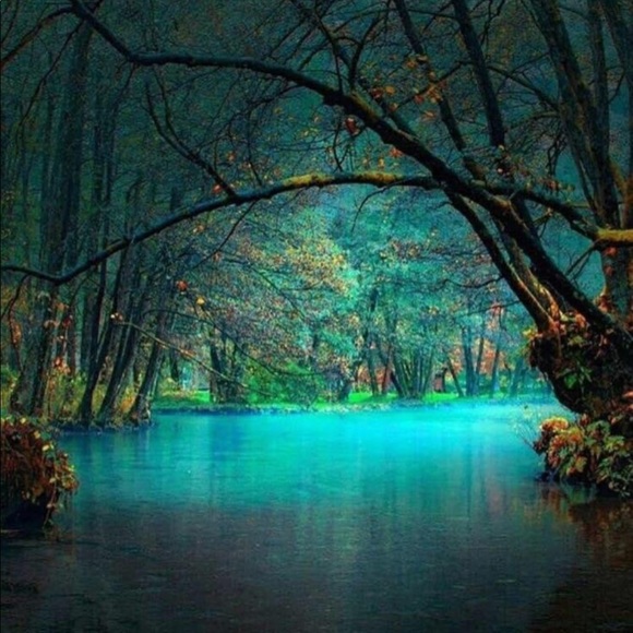 🐕🐻Help Rescue Animals🐬🐖🐑 #STOPAnimalCruelty💔 - Picture 15 of 16